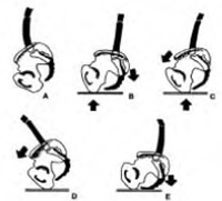 کاربرد اصول ارگونومی در طراحی صندلی کاربرد اصول ارگونومی در طراحی صندلی