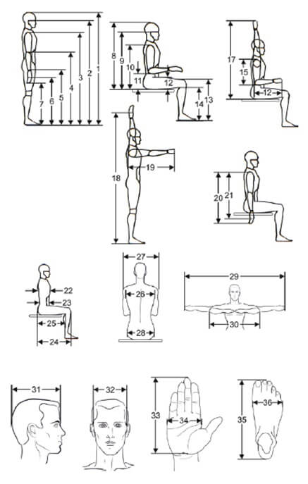 کاربرد اصول ارگونومی در طراحی صندلی کاربرد اصول ارگونومی در طراحی صندلی