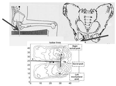 کاربرد اصول ارگونومی در طراحی صندلی کاربرد اصول ارگونومی در طراحی صندلی